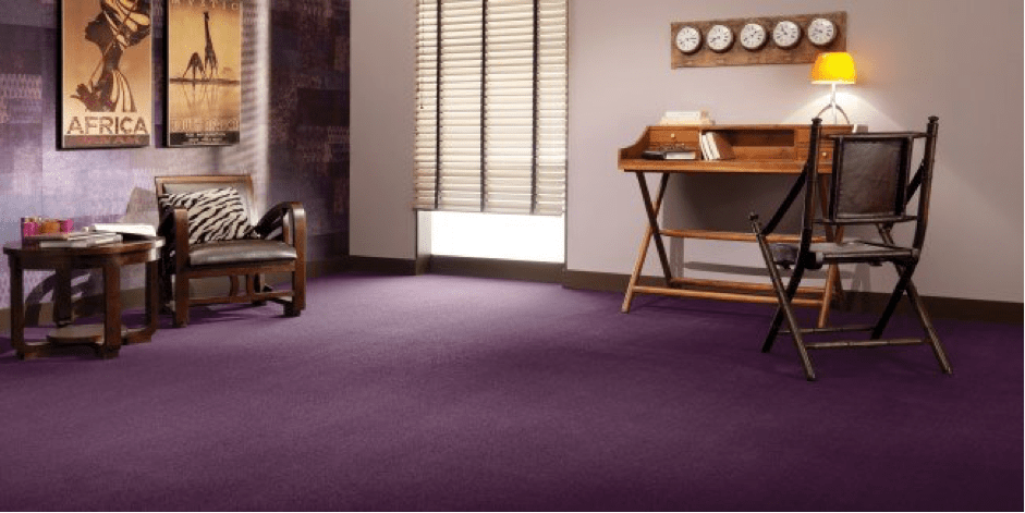 Purple Carpet Room