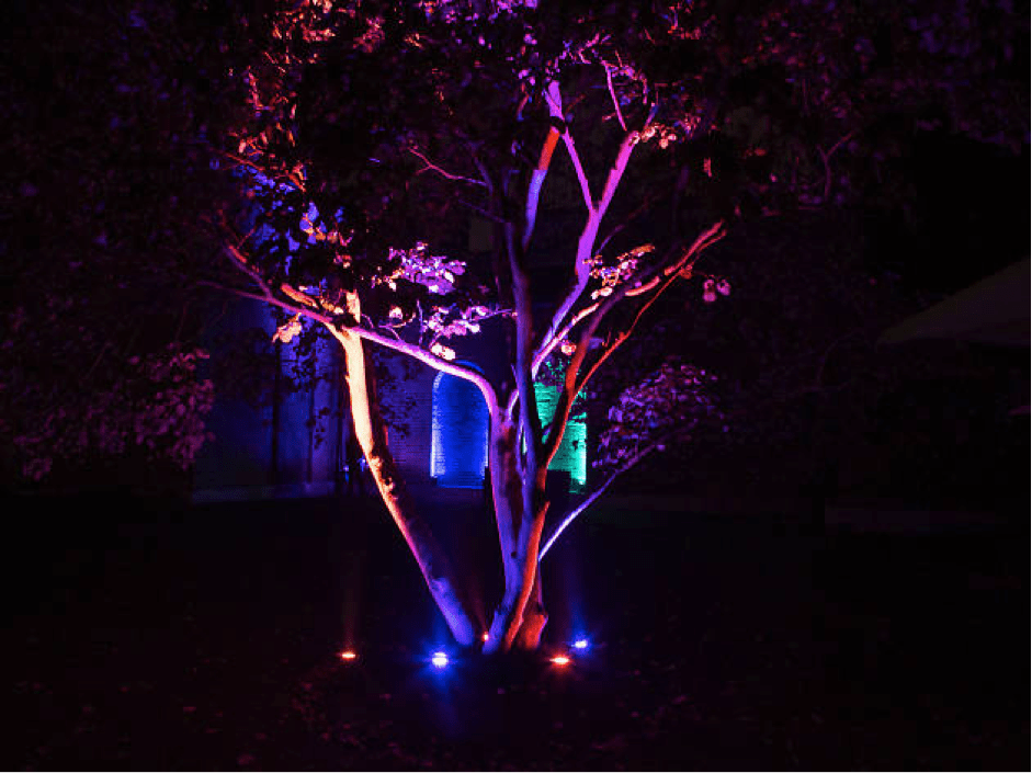 LED Tree