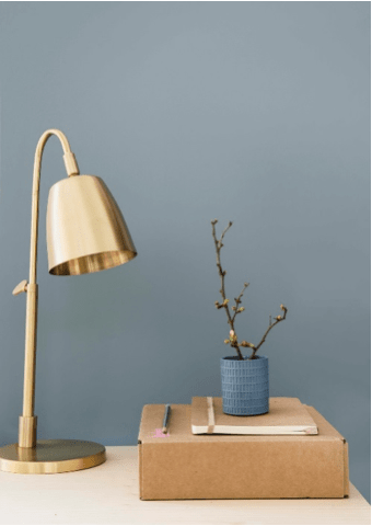Lamp and Plant