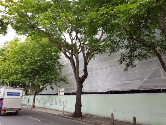 Taper Building construction update